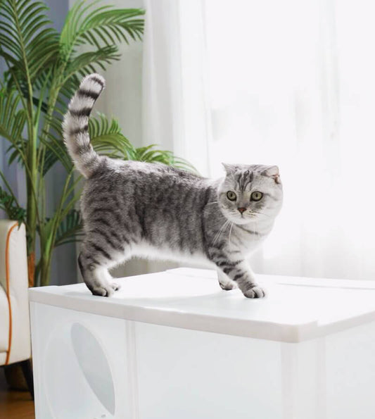 Learn how to assemble and use the Tigo-X cat litter box