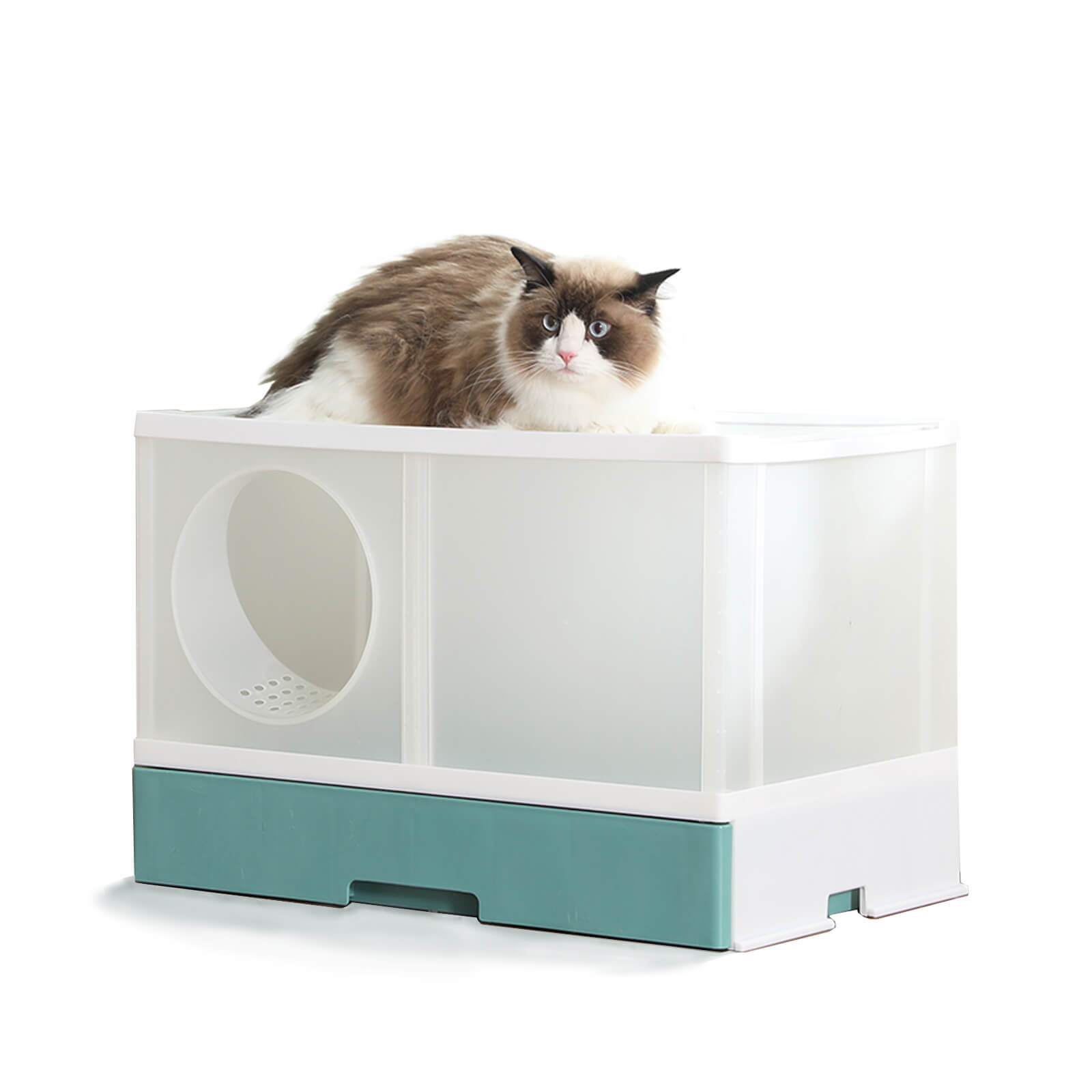 PeTraum Jumbo Cat Litter Box for large cats or multiple cats Upgraded peTraum